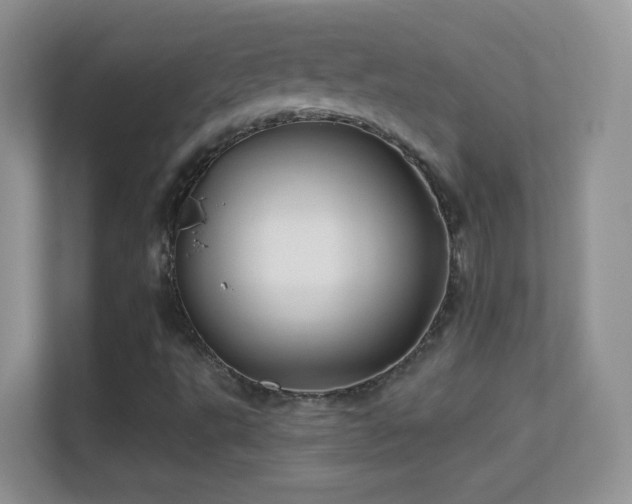 X0000113531495200909250855
