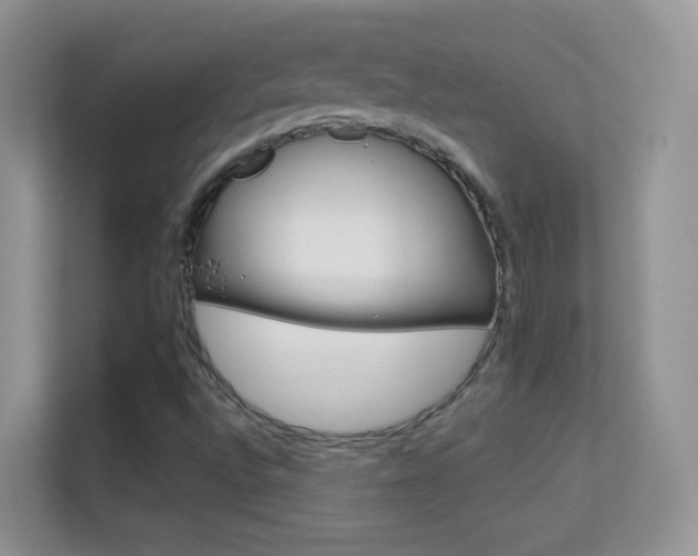 X0000113531496200909250855