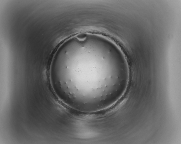 X0000113531497200909250855