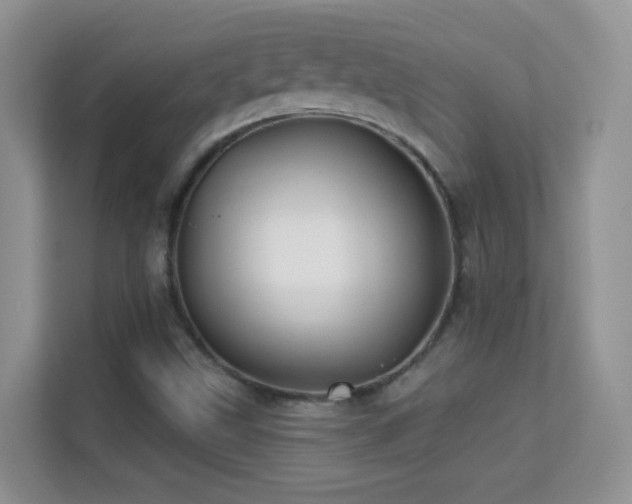 X0000113531499200909250855