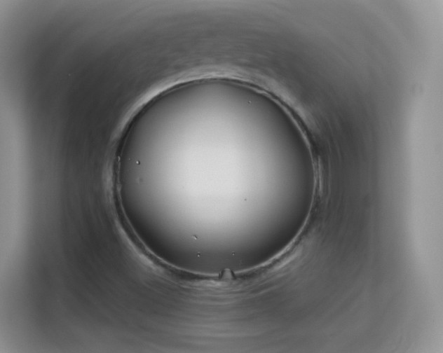 X0000113531500200909250855
