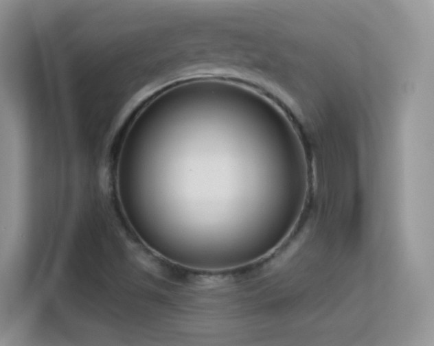X0000113531501200909250855