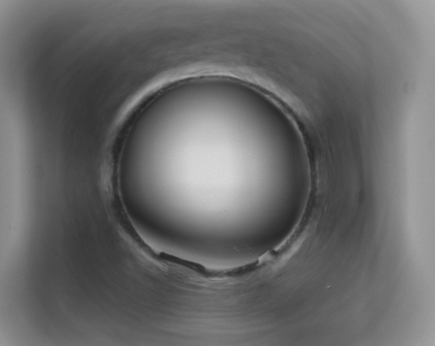 X0000113531502200909250855