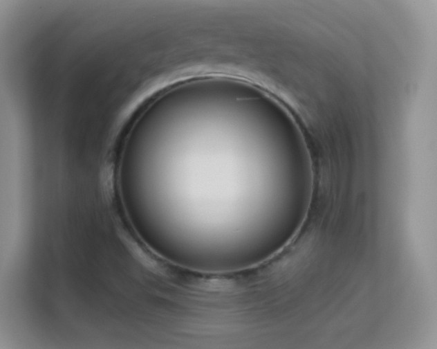 X0000113531503200909250855