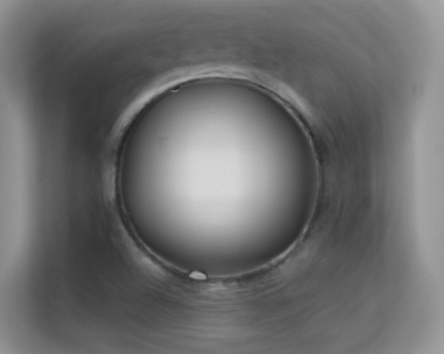X0000113531504200909250855