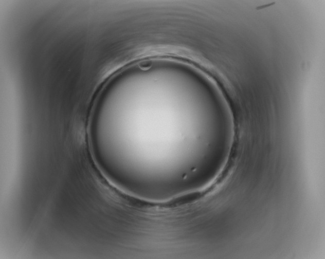 X0000113531505200909250855