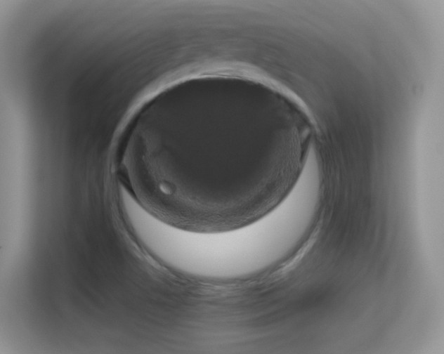 X0000113531506200909250855
