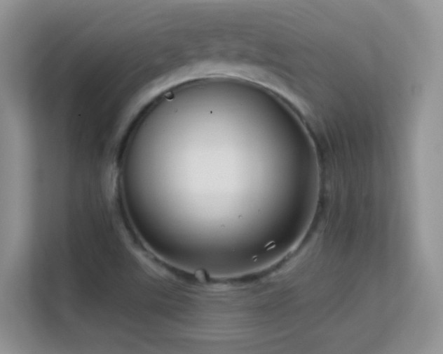 X0000113531507200909250855