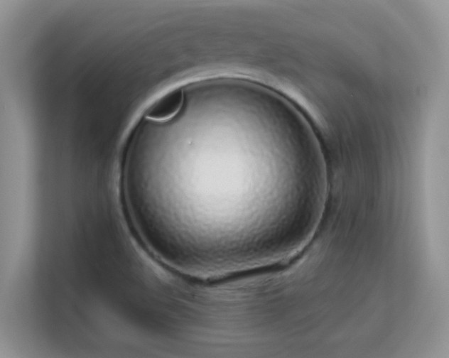 X0000113531508200909250855