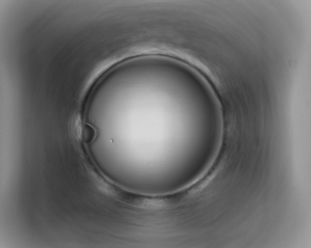 X0000113531509200909250855
