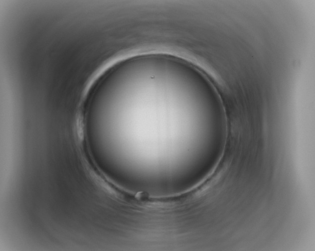 X0000113531510200909250855