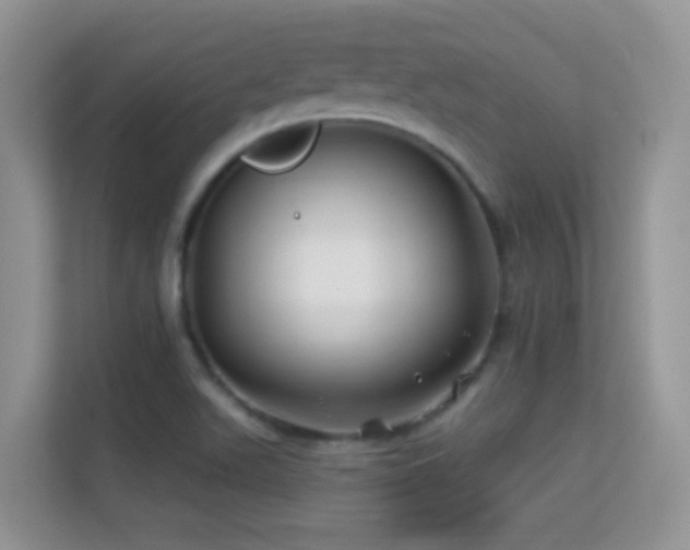 X0000113531511200909250855