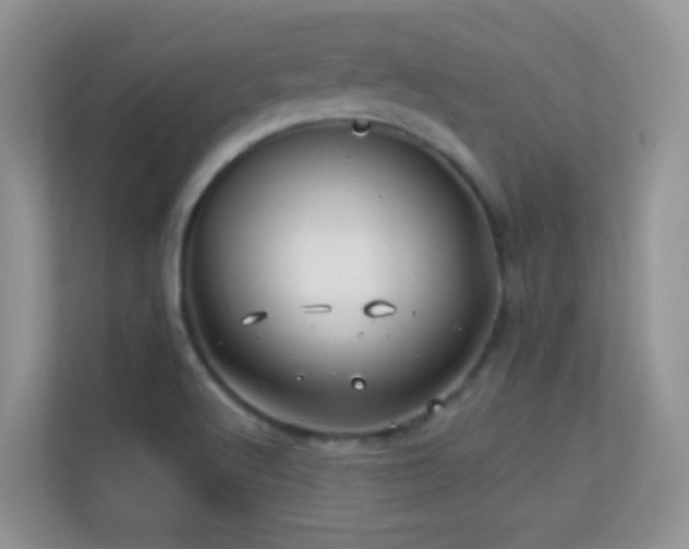 X0000113531512200909250855