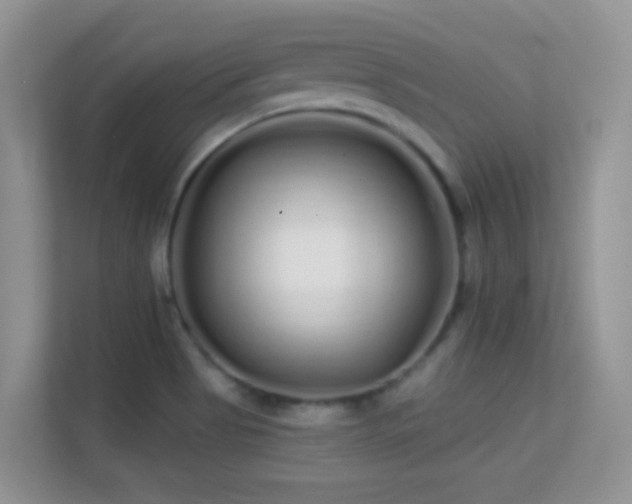 X0000113531513200909250855