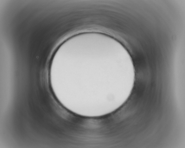 X0000113531514200909250855