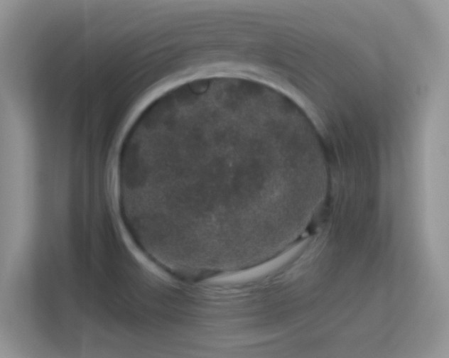 X0000113531515200909250855