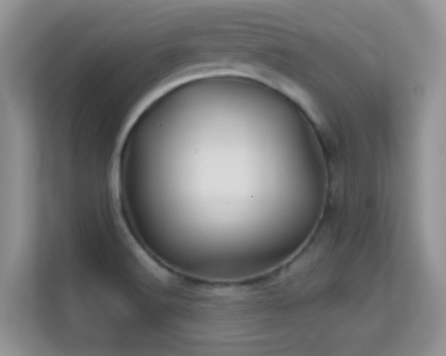 X0000113531516200909250855