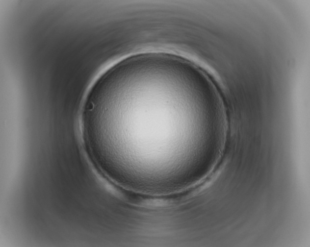 X0000113531517200909250855