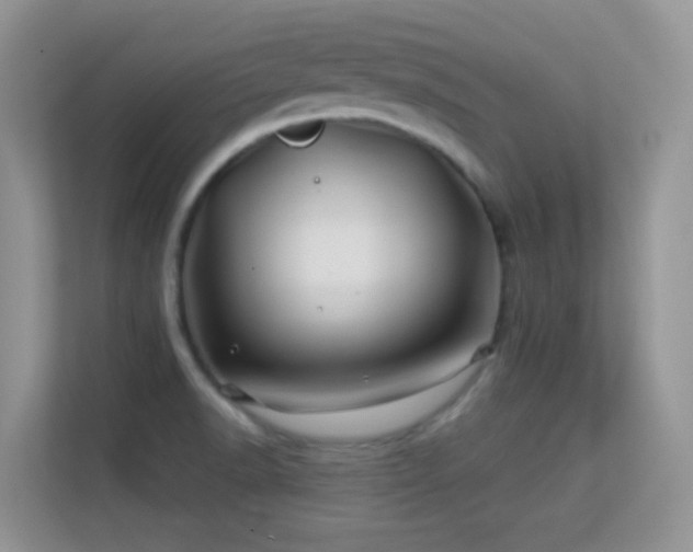 X0000113531518200909250855