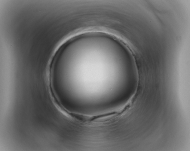 X0000113531519200909250855