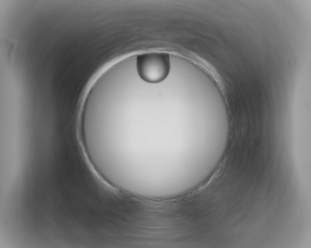 X0000113531520200909250855