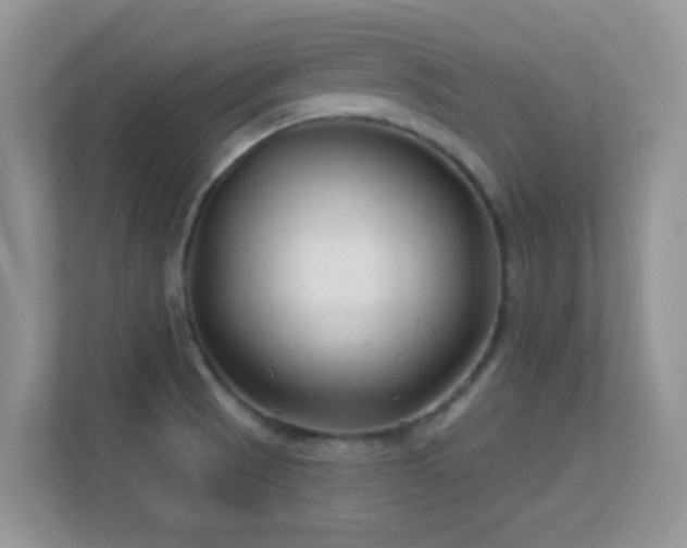 X0000113531521200909250855