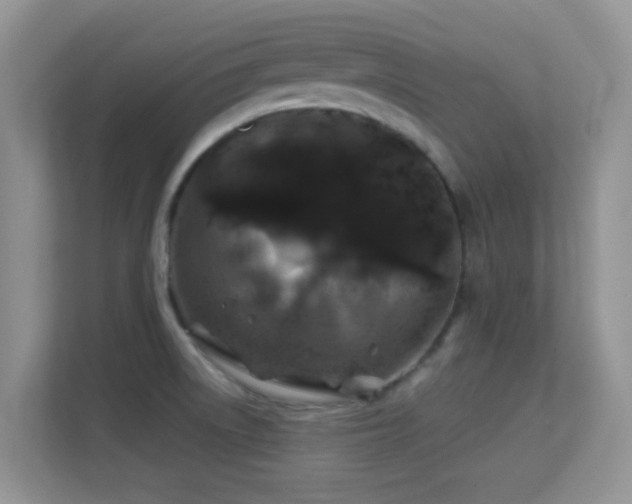 X0000113531522200909250856