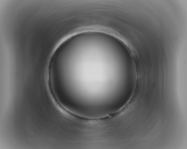 X0000113531523200909250856