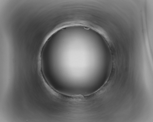 X0000113531524200909250856