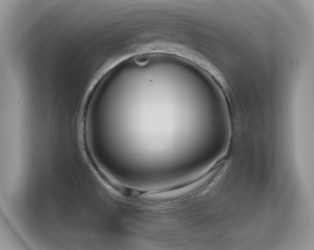 X0000113531525200909250856