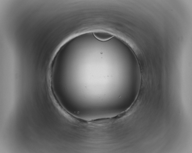 X0000113531526200909250856