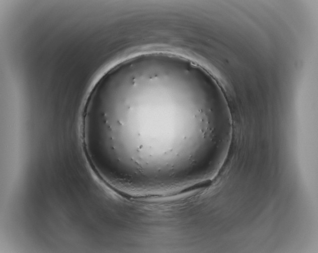 X0000113531527200909250856