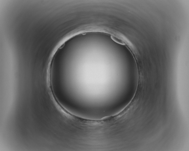 X0000113531528200909250856
