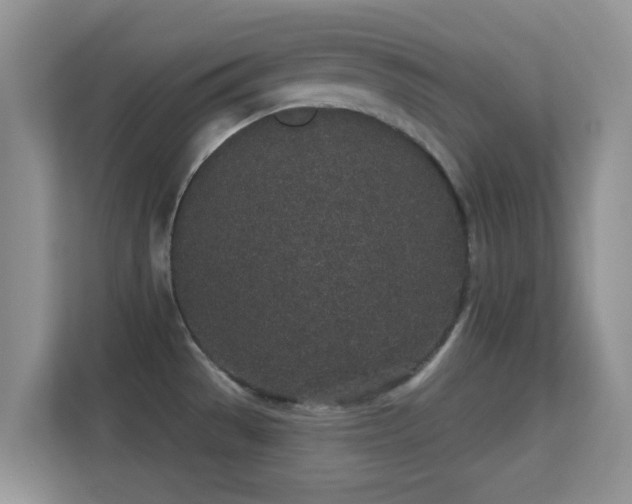 X0000113531529200909250856