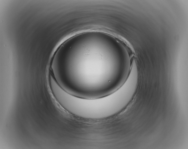 X0000113531530200909250856