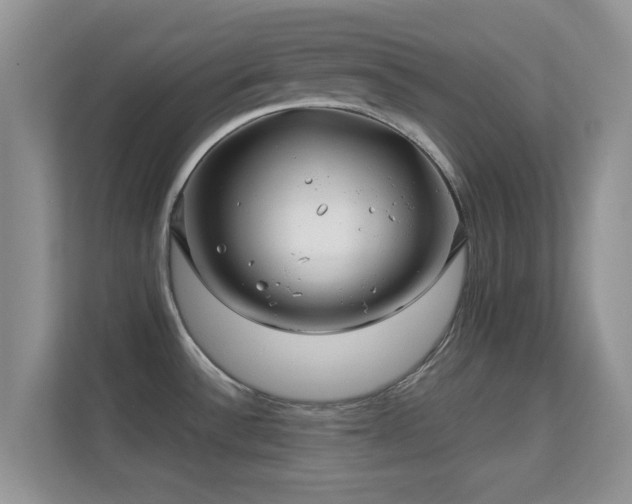 X0000113531532200909250856