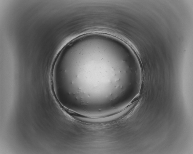 X0000113531533200909250856