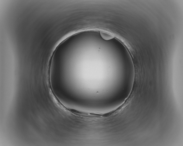 X0000113531534200909250856