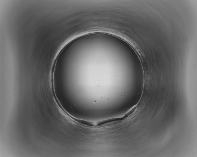 X0000113531535200909250856