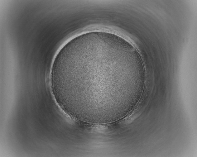 X0000113531536200909250856