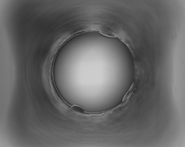 X0000113530001200910021339