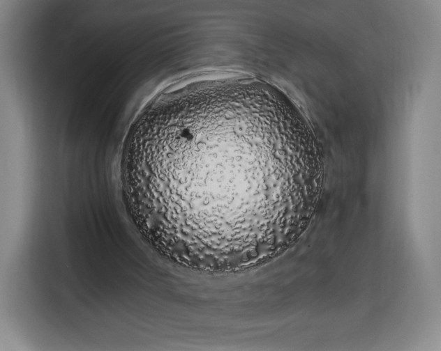 X0000113530002200910021339