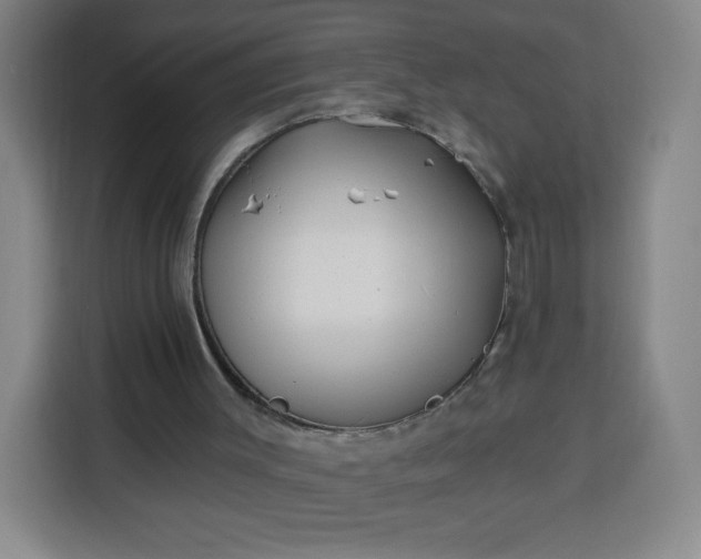 X0000113530003200910021339