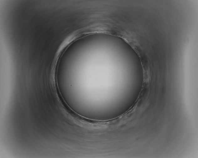 X0000113530004200910021339