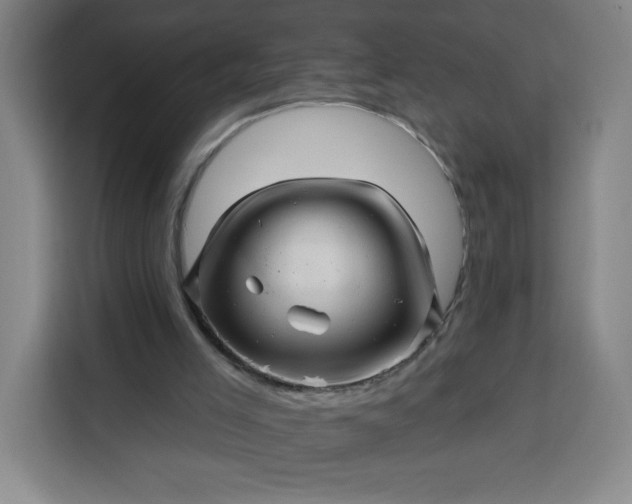 X0000113530005200910021339