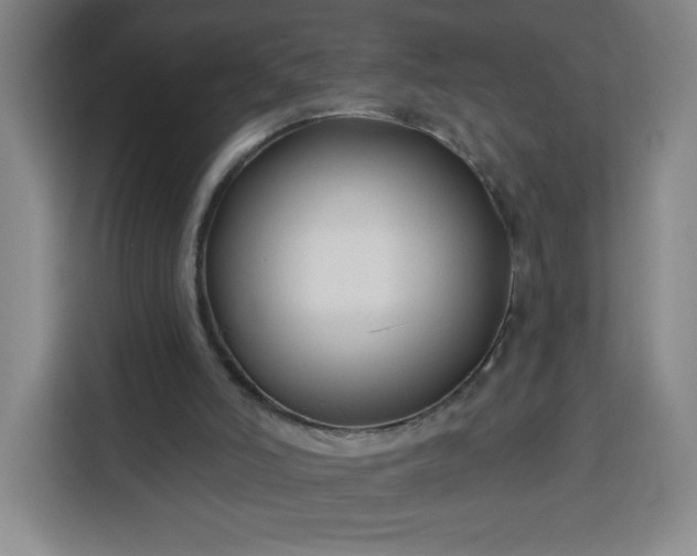 X0000113530006200910021339