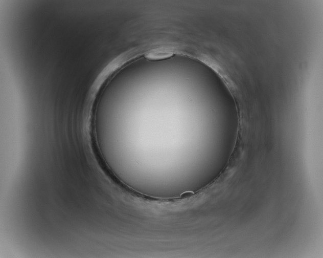 X0000113530007200910021339