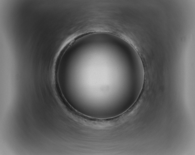 X0000113530008200910021339