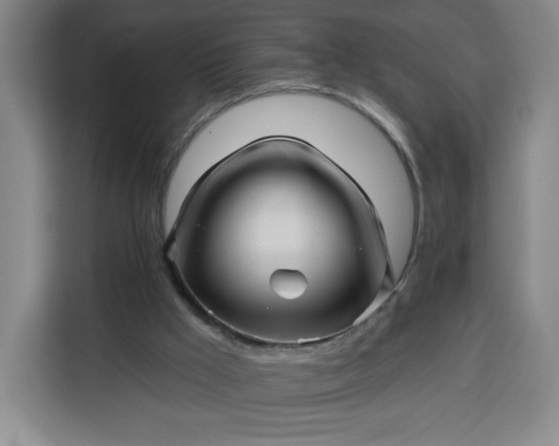 X0000113530009200910021339