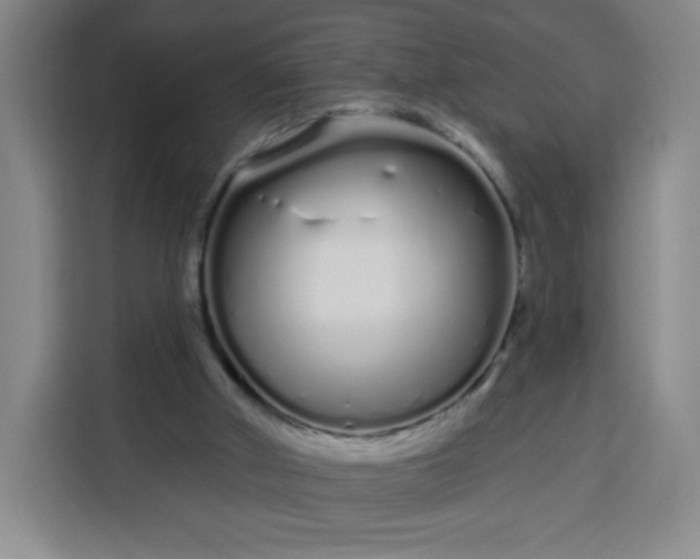 X0000113530010200910021339